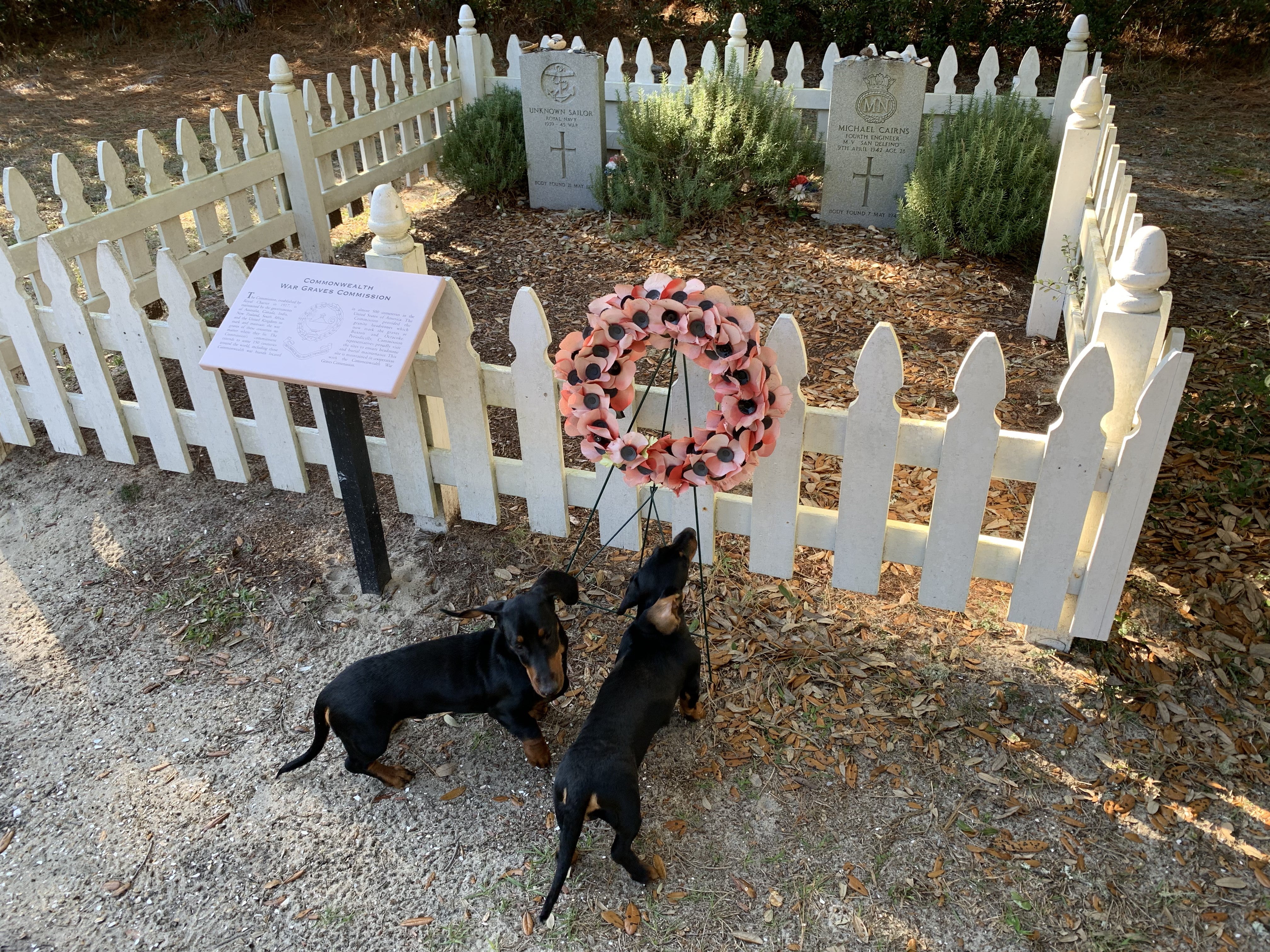 British Cemetery Buxton NC
