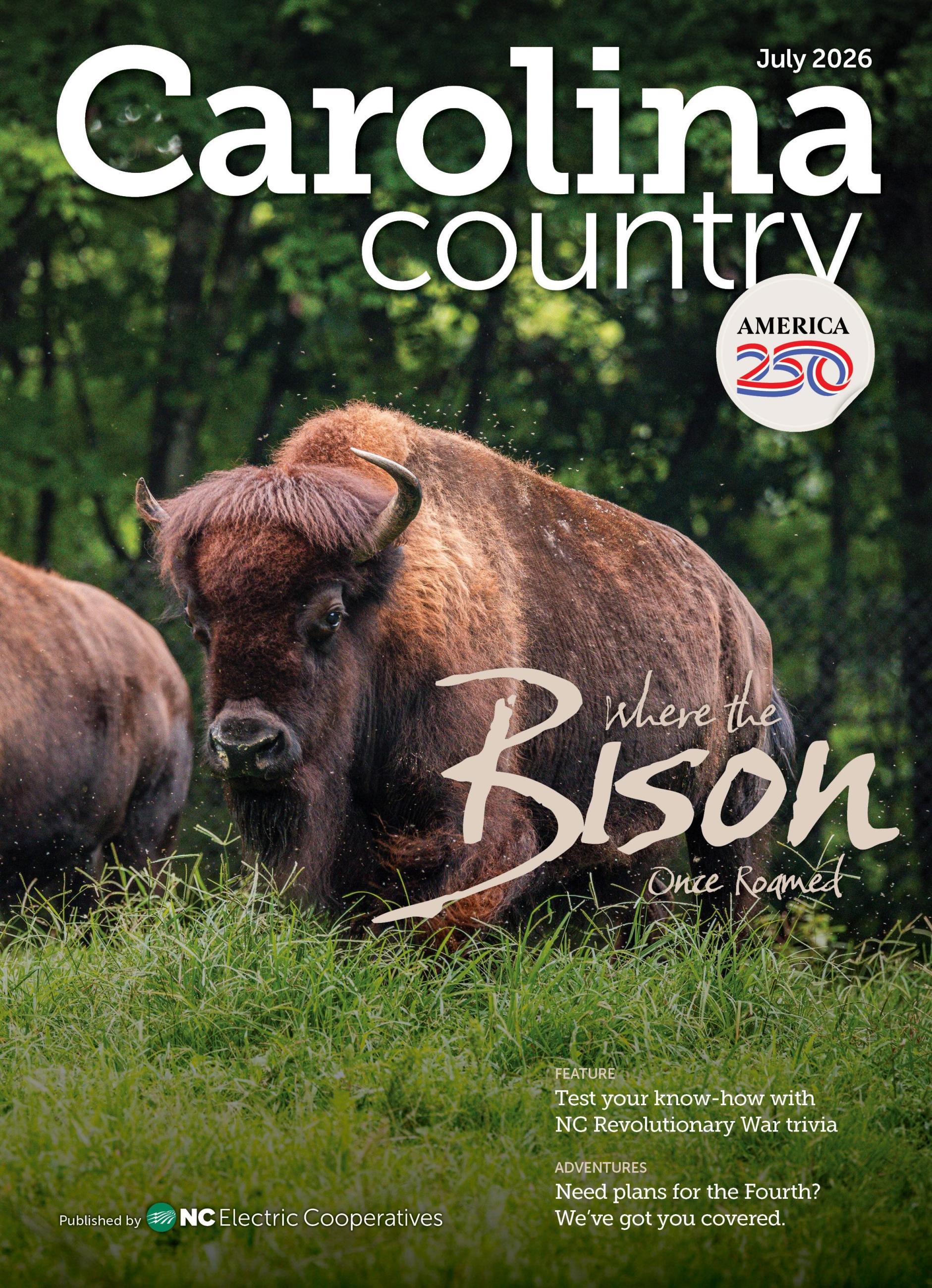 Bison on the cover of the July Carolina Country Magazine