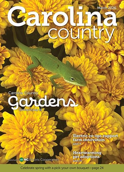Cover of March Carolina Country Magazine about Gardens, yellow flowers with green lizard